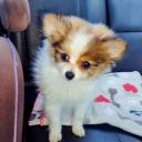 Hollie Marie McKinney