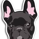 NorthCalFrenchies