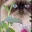 Persia's Avatar Icon