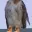 Randy's Avatar Icon