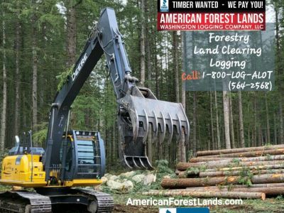 LAND CLEARING, LOGGING COMPANY, TIMBER LOG BUYER, North  Bend, Auburn, Enumclaw, Maple Valley, Roy