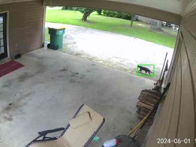 Jaa Lenno (Has a House). Room in the 3 Bedroom 2BA House For Rent in Denham Springs, LA