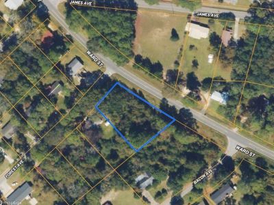 Price Just Reduced! Prime Opportunity: 0.54-Acre Raw Land in Eastman, GA – Now $9,120 – Financing Av