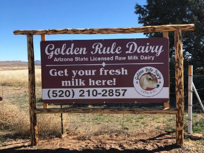 Raw Cow Milk