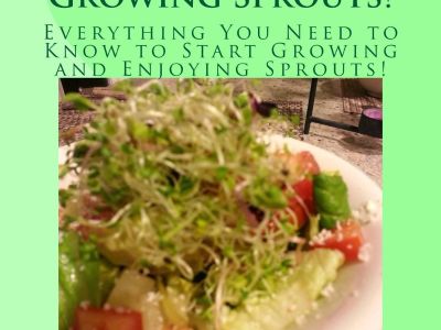 Book: Sprouting: The Beginners Guide to Growing Sprouts! by Jim Beerstecher (Jim B)