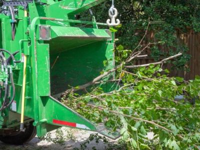 Mobile Tree Service