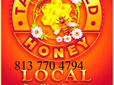 Tampa Local Honey