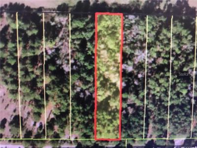Land For Sale in DAVENPORT, FL