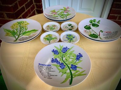 23 Piece Rare Plate & Coffee Cup/ Saucer Brunch Set
