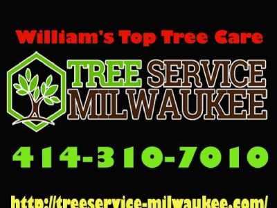 William's Top Tree Care