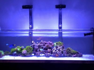 2 x AI Prime 16hd w/mount