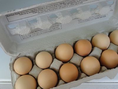 EGGS FOR SALE