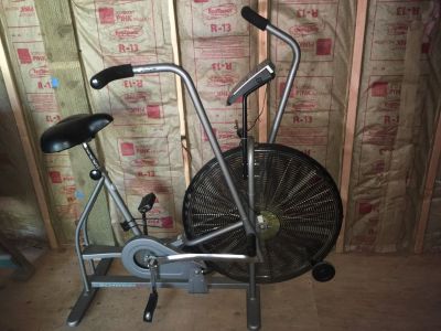Schwinn Airdyne Upright Fan Bike