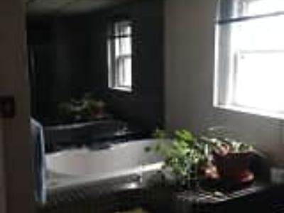 2 Bedroom 1BA 1250 ft² Pet-Friendly Apartment For Rent in Erie, PA 931 W 9th St