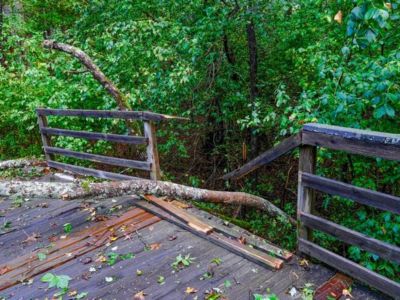 Emergency Tree Service Near Me - Sioux Falls, SD