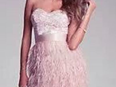 BeBe Isis Lace Feather Dress (Rose Dust Color)