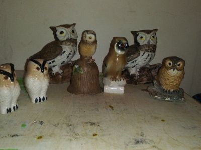 Owls Collection Figurines