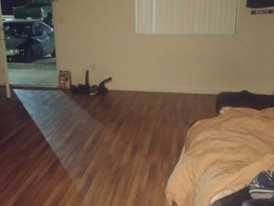 Needing a roomate for my studio apartment