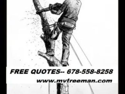 Tree Removal Services in Atlanta GA |Tree Removal Service (Over 99 5 star google FREE ESTIMATES