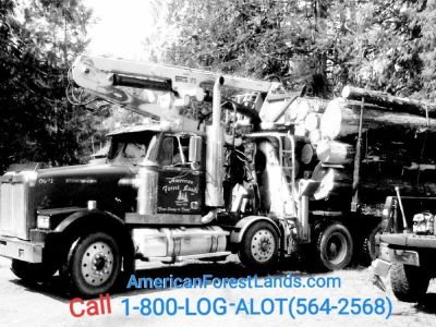 🌲LOGGING COMPANY, SELF LOADER TRUCKING, Land Enumclaw, Maple Valley, Hobart, Auburn, Black Diamond