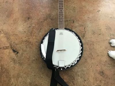 Danville Banjo - Great Condition ($100)