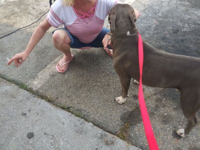 Looking to rent furnished room