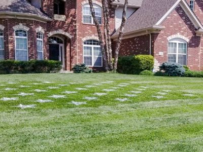 Fall - Winter Landscaping Services