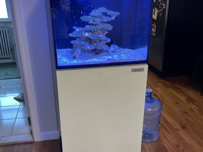 Elos Midi Tank Teardown