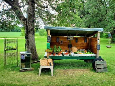 TRIPLE SWEET CORN, ORGANIC PRODUCE AND FARM FRESH EGGS