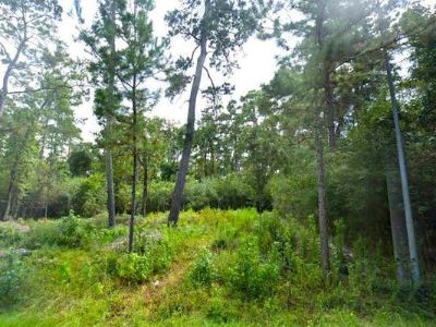 Land For Sale in HUMBLE, TX