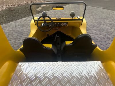 glitterbug very rare buggy with delivery