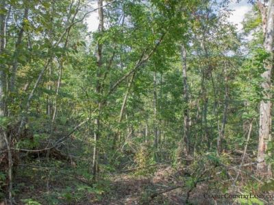 Listing ID:20729 Discover Tract 19 at Buck Run Ridge: A Serene Getaway Amidst Nature