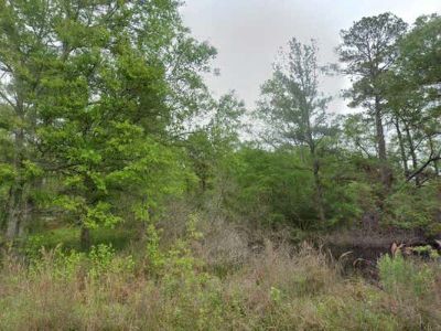 Land For Sale in SPLENDORA, TX