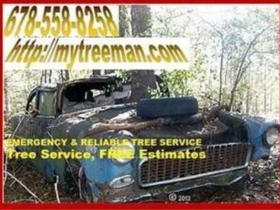 Tree Service in Atlanta