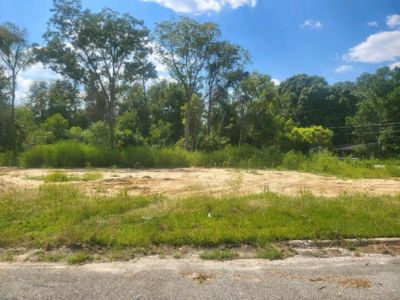 Land For Sale in Ray City, GA