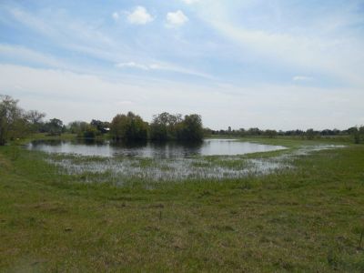 Agricultural Lease available for 120 Acres in NW Harris County