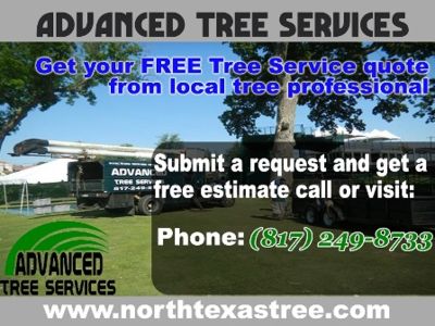 Advanced Tree Services !!Tree Service Fort worth