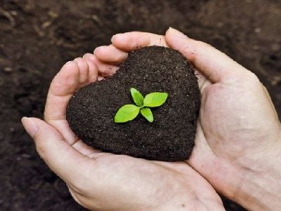 KisaanTrade.com is a biggest Network of Agriculture Industries