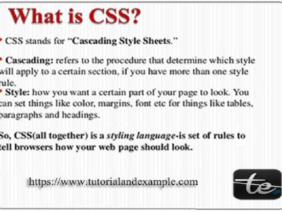 Learn to style CSS Beginner Interview Questions-Tutorials