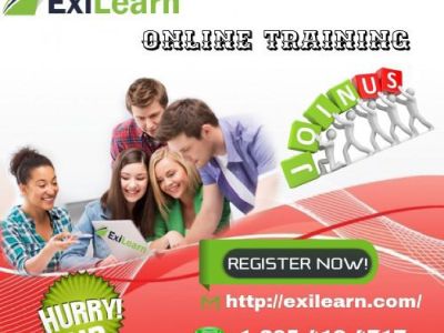 Online Training Institute In USA