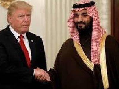 Wealth Management Firms Experts