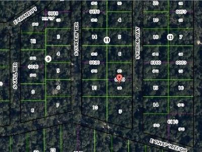 Build your home with some privacy amidst some original Florida wildlife