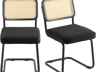 Rattan Dining Chairs Set of 2, Mid Century Modern Dining Chair, Upholstered Velvet Accent