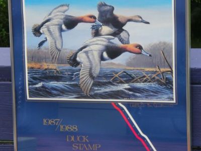 1987-88 Federal Duck Stamp Poster