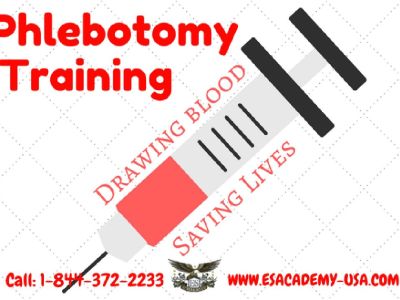 Phlebotomy Training