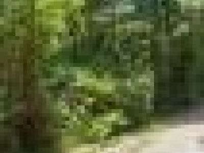 10.7 Acres in Franklinton, LA - great for quiet living in mobile home or hunting! Fenced!