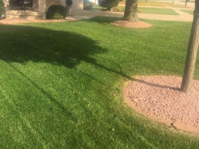 Landscape & Lawn Care