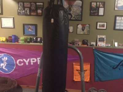 Century 80 lb heavy bag & Everlast stand