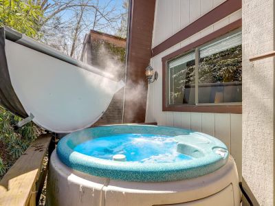 1 Bedroom 1BA Pet-Friendly Condo Vacation Rental in Ski Country 82A, Banner Elk,...