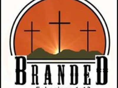 BRANDED WELDING,and FABRICATION,20x20 STEELE CAPORT,price includes materials,and labor